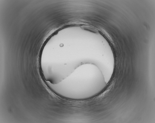 X0000110950893200907171626
