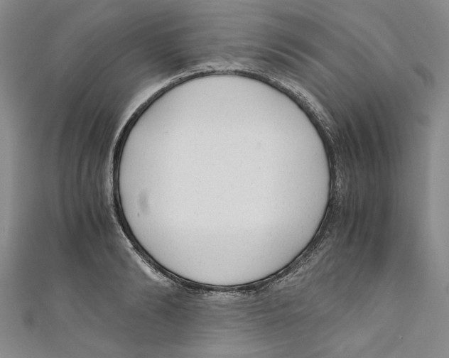 X0000110950894200907171626