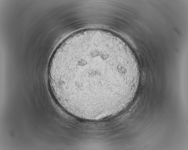 X0000110950895200907171626