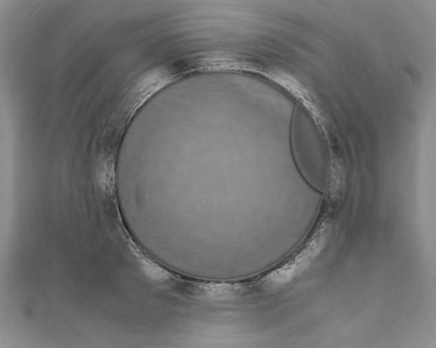 X0000110950897200907171626