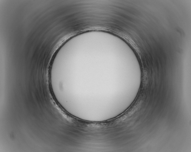 X0000110950898200907171626