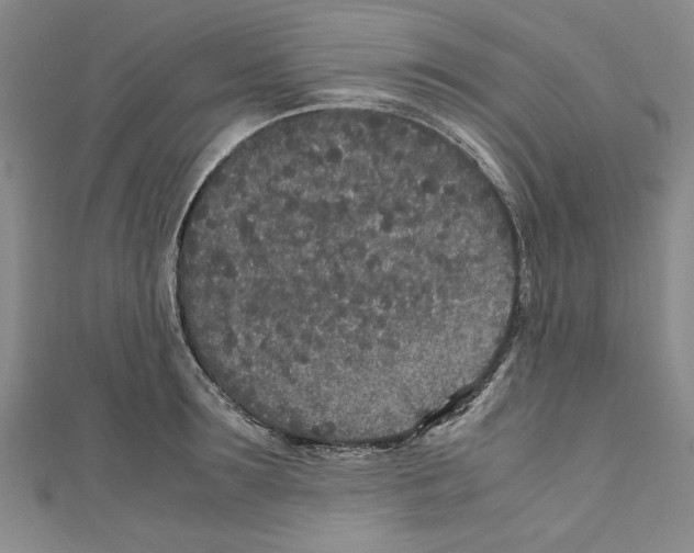X0000110950899200907171626