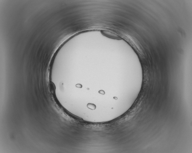 X0000110950900200907171626