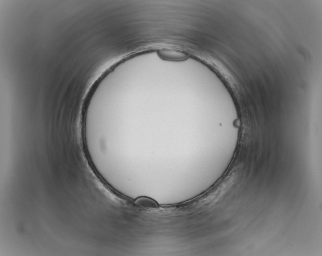 X0000110950902200907171626