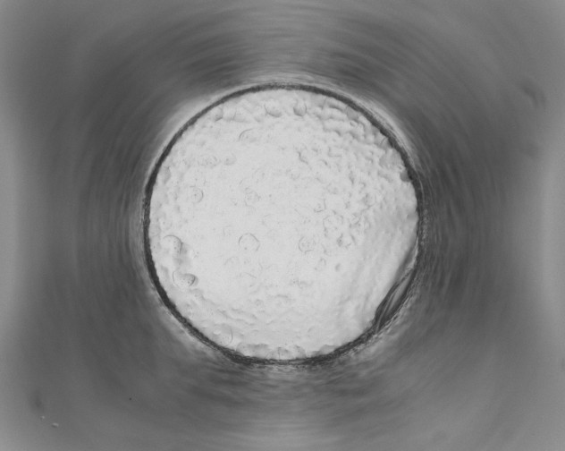 X0000110950903200907171626