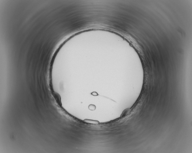 X0000110950904200907171626
