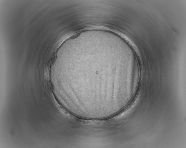 X0000110950905200907171626