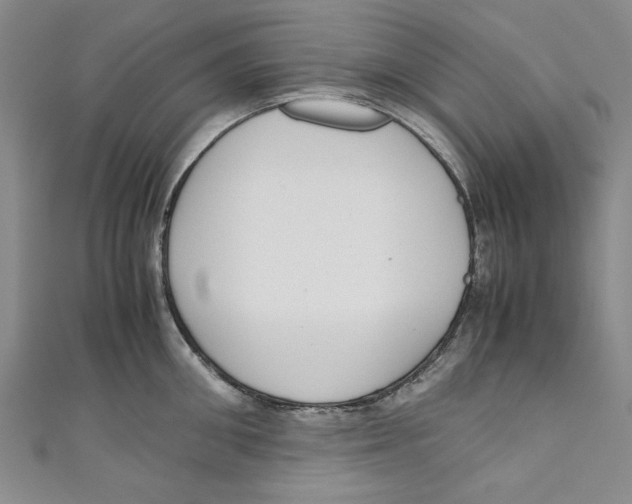 X0000110950906200907171626