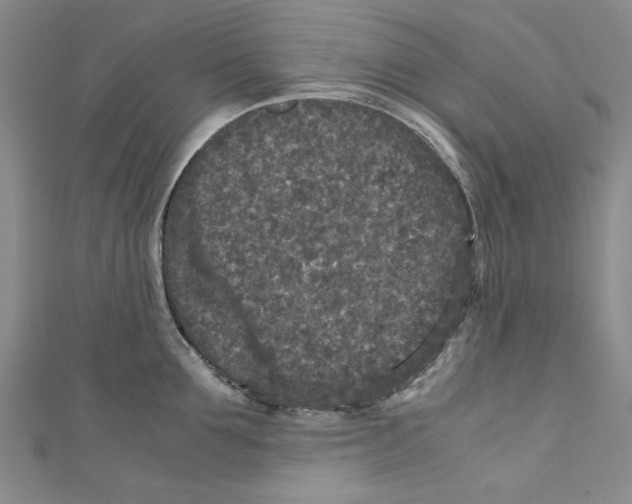 X0000110950907200907171626