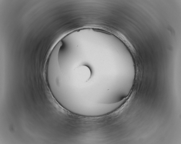 X0000110950908200907171626