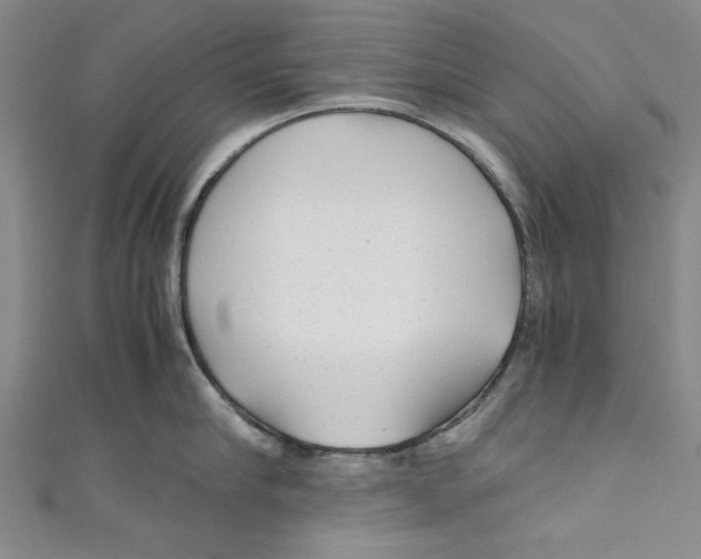 X0000110950910200907171626