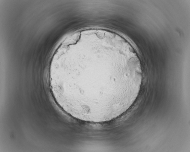 X0000110950911200907171626