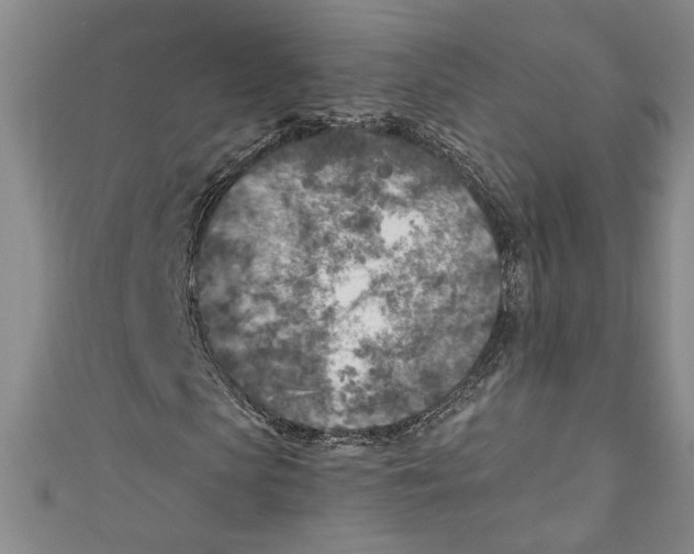 X0000110950913200907171625