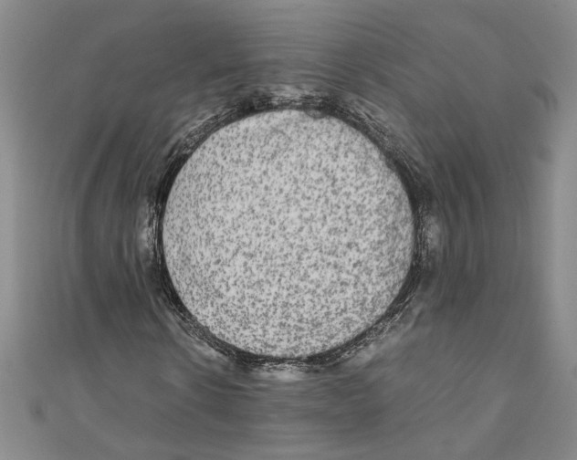 X0000110950914200907171625