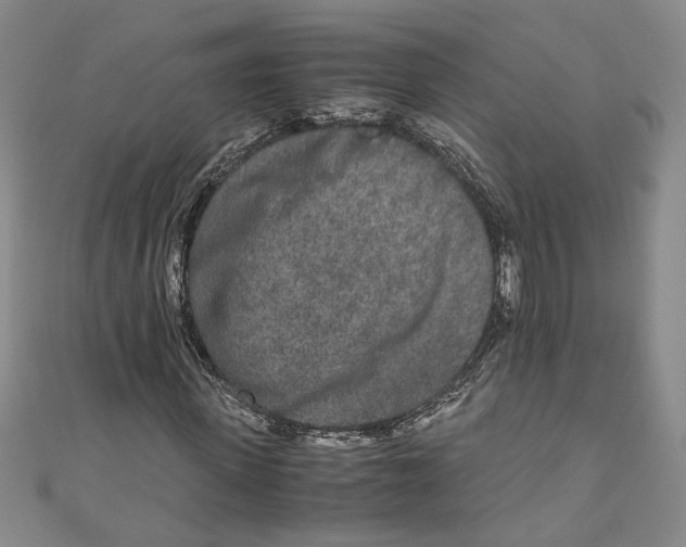 X0000110950915200907171625