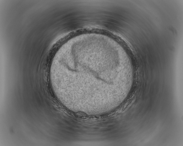 X0000110950919200907171625