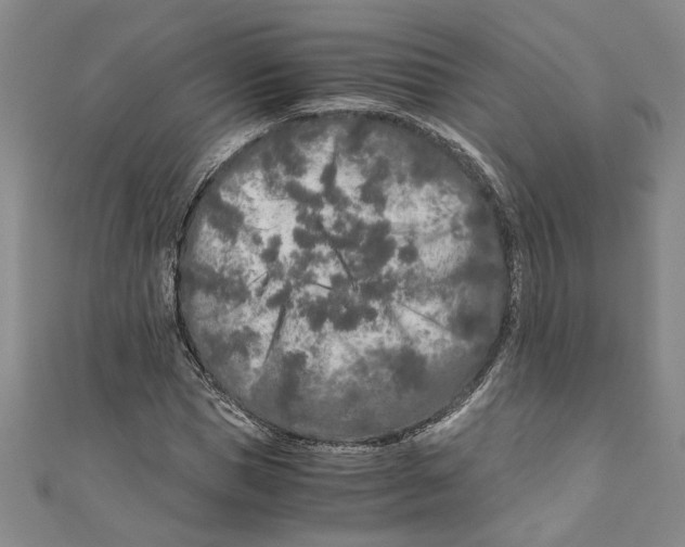X0000110950921200907171625