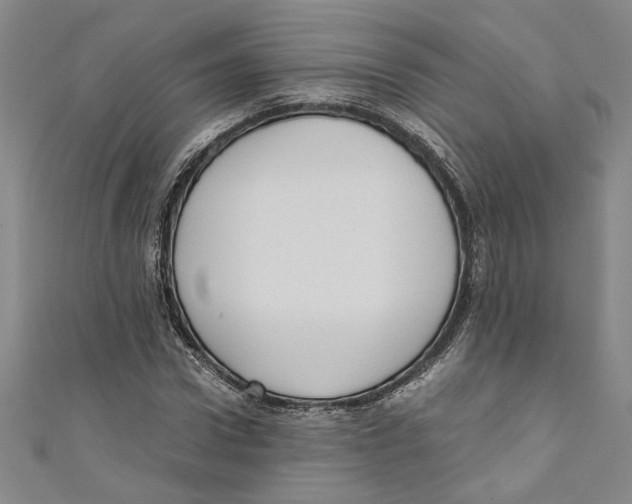 X0000110950922200907171625