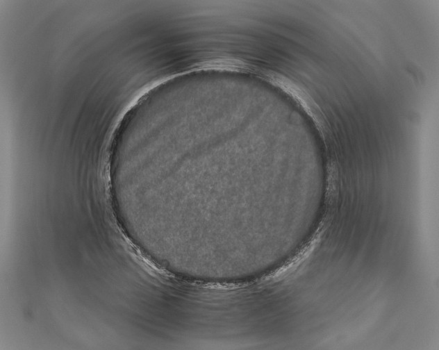 X0000110950923200907171625