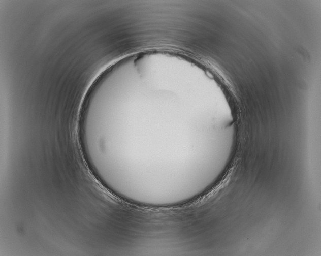 X0000110950924200907171625