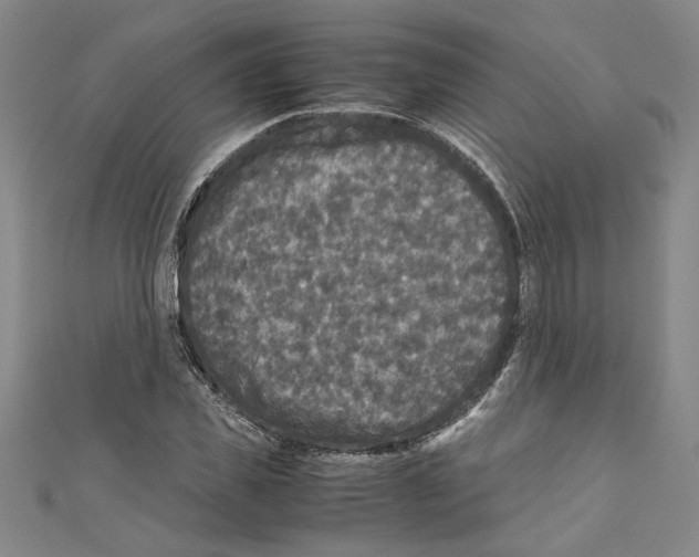 X0000110950925200907171625