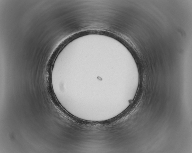 X0000110950926200907171625