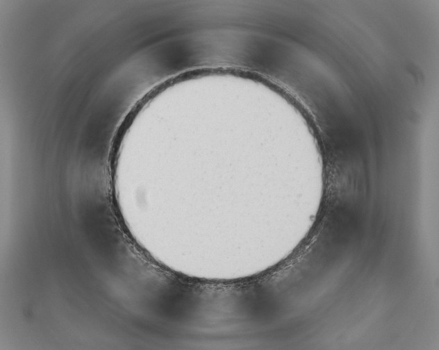 X0000110950927200907171625