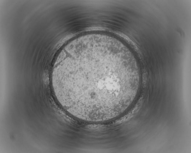 X0000110950929200907171625