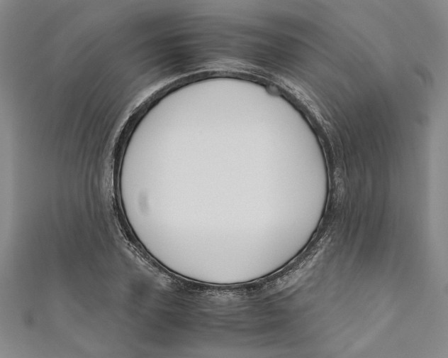 X0000110950931200907171625