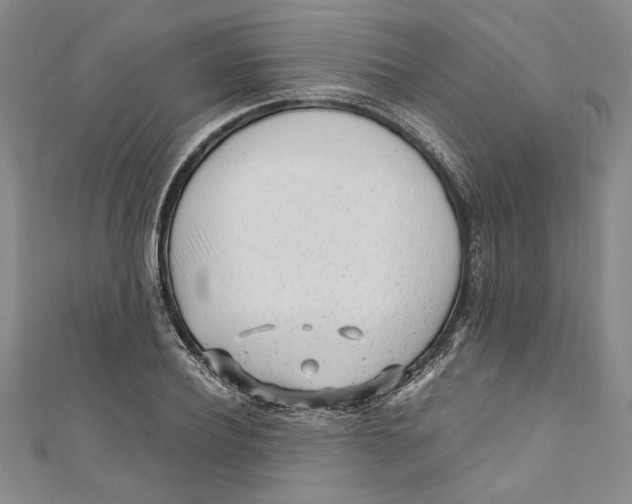 X0000110950932200907171625