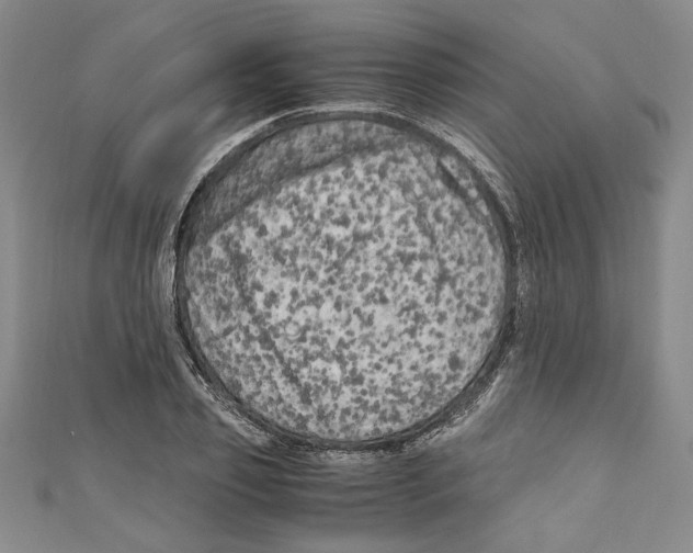 X0000110950933200907171625