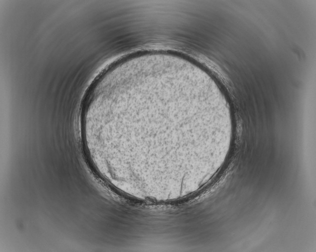 X0000110950934200907171625