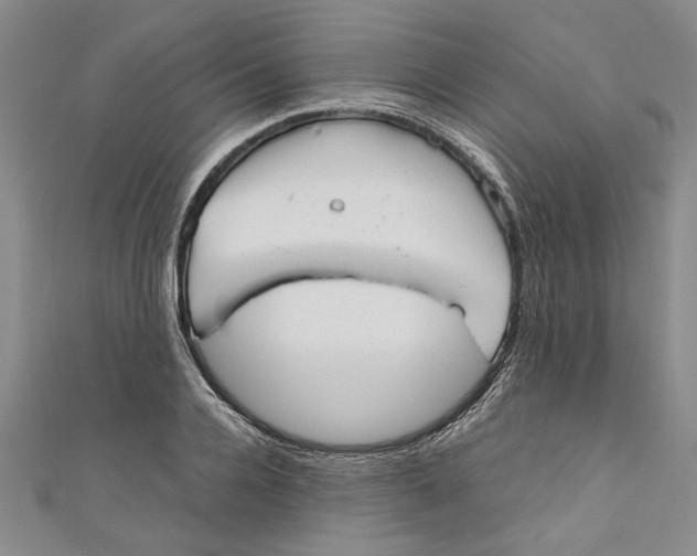 X0000110950936200907171625