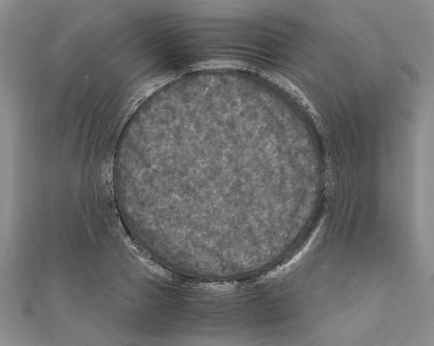 X0000110950937200907171625
