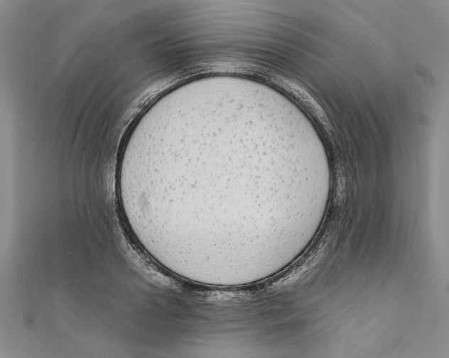 X0000110950938200907171625