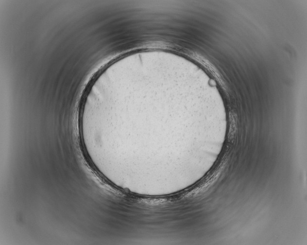 X0000110950939200907171625