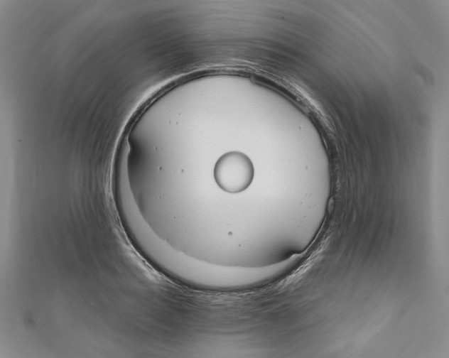 X0000110950940200907171625