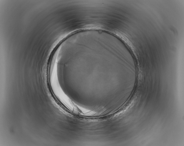 X0000110950941200907171625