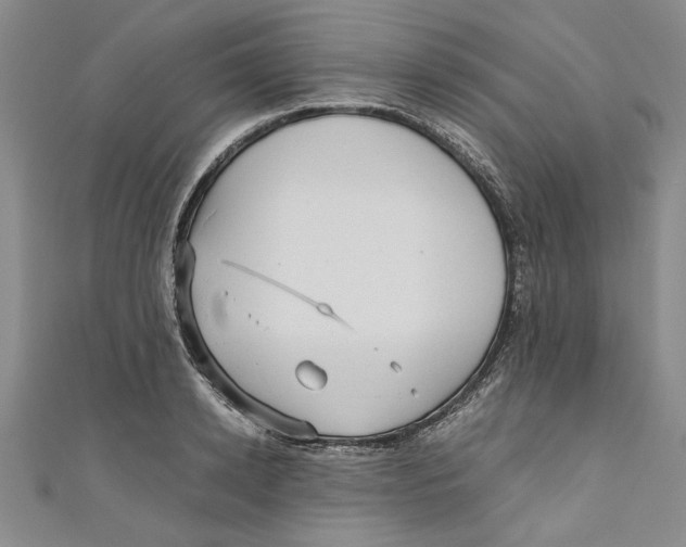 X0000110950942200907171625