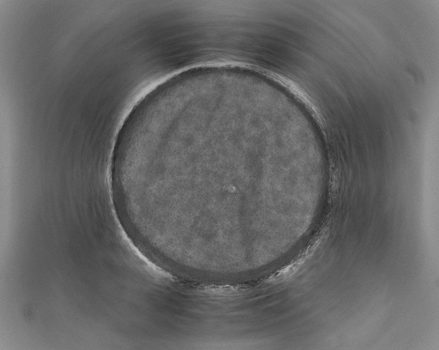 X0000110950943200907171625