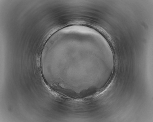 X0000110950945200907171625