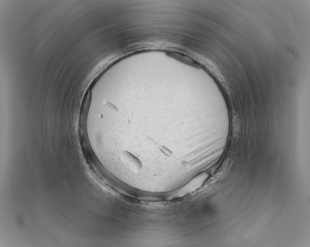X0000110950946200907171625