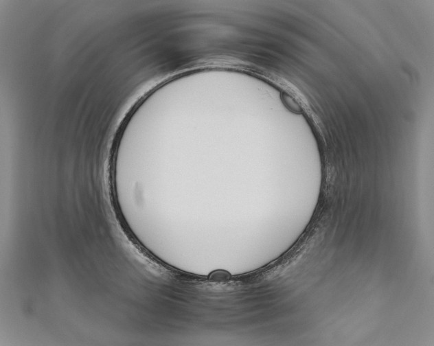 X0000110950947200907171625