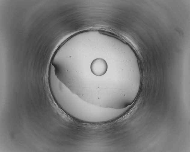 X0000110950948200907171625