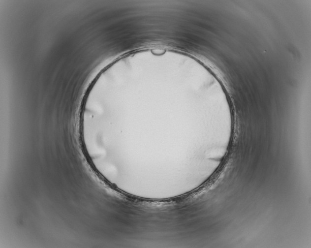 X0000110950949200907171625
