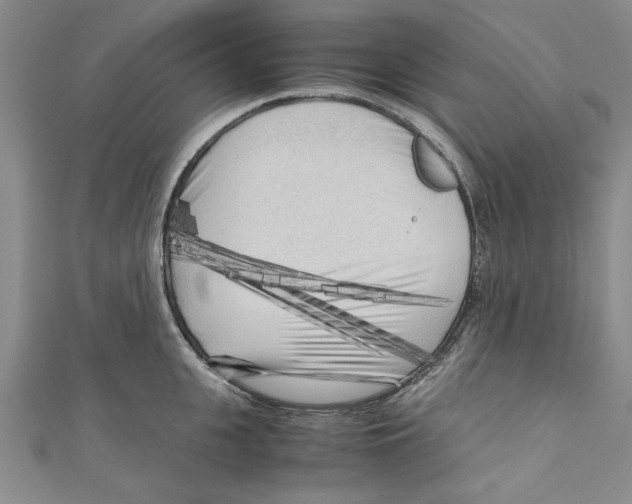 X0000110950951200907171625