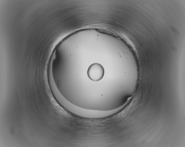 X0000110950952200907171625
