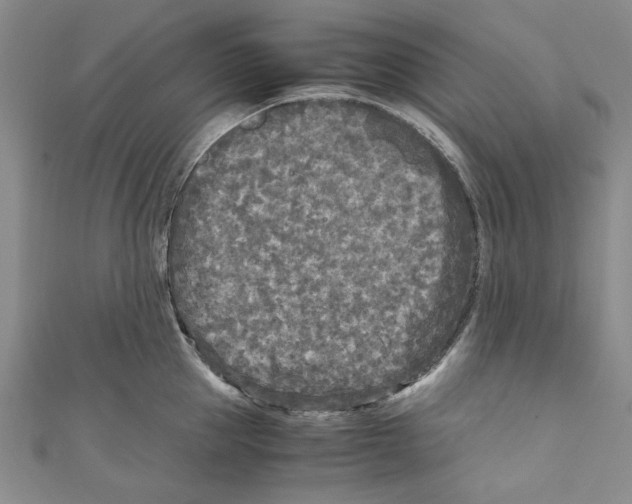X0000110950953200907171625