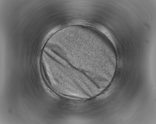 X0000110950954200907171625