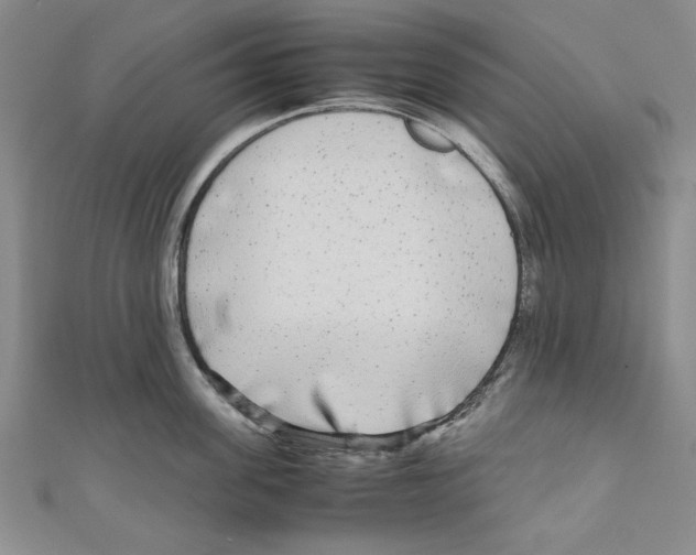 X0000110950955200907171626
